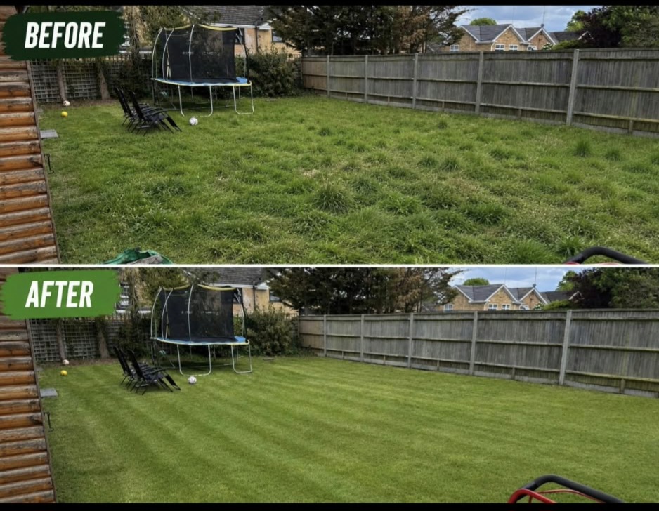 GARDEN MAINTENANCE IN GLASGOW. COMPLETE GRASS CARE &LAWN MAINTENANCE  GUIDE